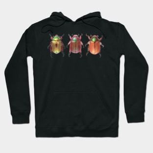 3 Christmas Beetles Digital Painting Hoodie